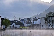 庐山露语茶叶价格行情